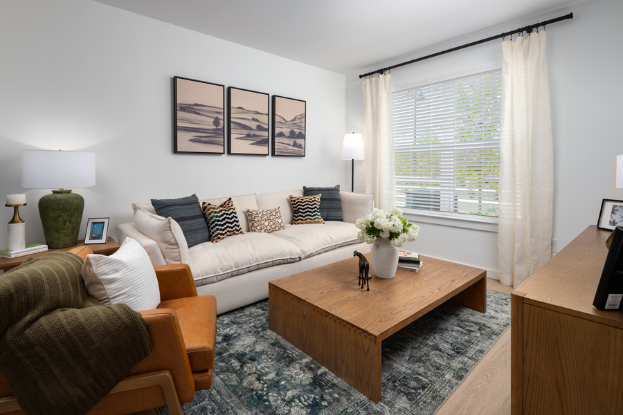 virtual staged living room
