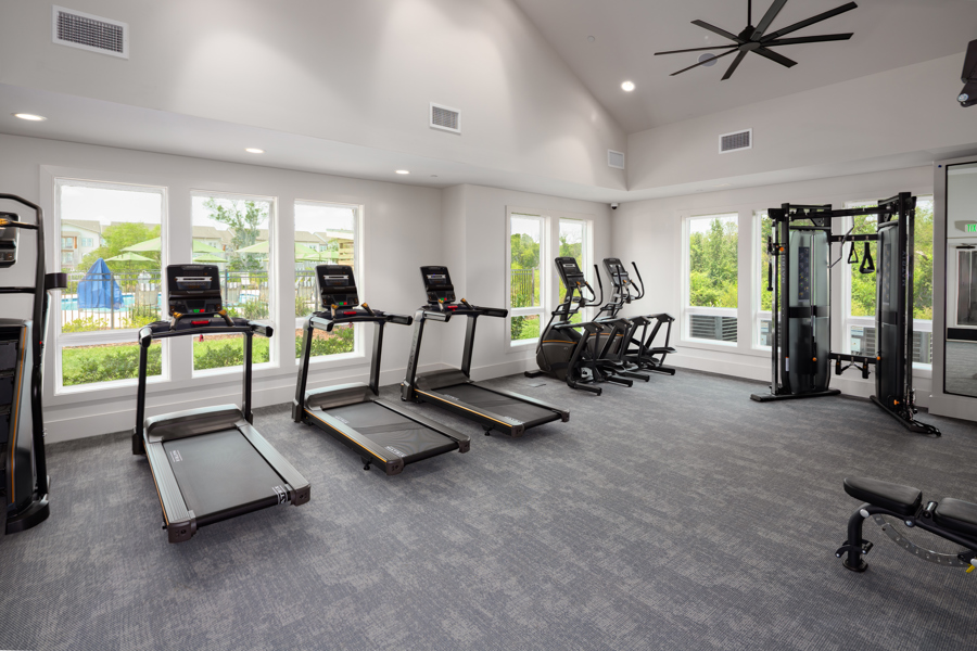 fitness bikes